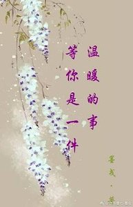 《等你是一件温暖的事》