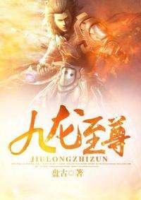 《九龙至尊》