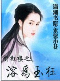 《(洪樓同人)醉洪樓之溶為玉狂》