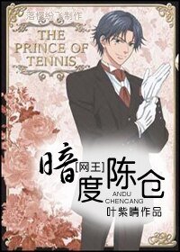 《(網王+花樣同人)暗度陳倉》