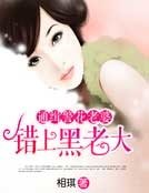 《通緝警花老婆:錯上黑老大》