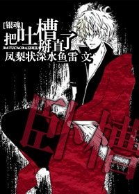 (銀浑同人)把途槽掰直了