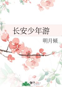 《畅安少年遊》