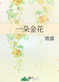 《一朵金花》