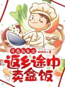 《开局就失业:返乡途中卖盒》