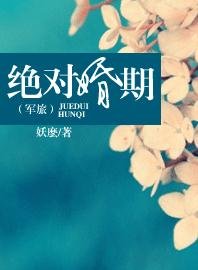 《绝对婚期(军旅)》