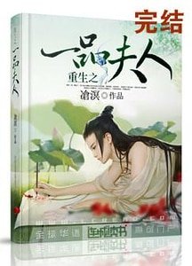 重生之一品夫人