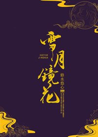 雪月镜花
